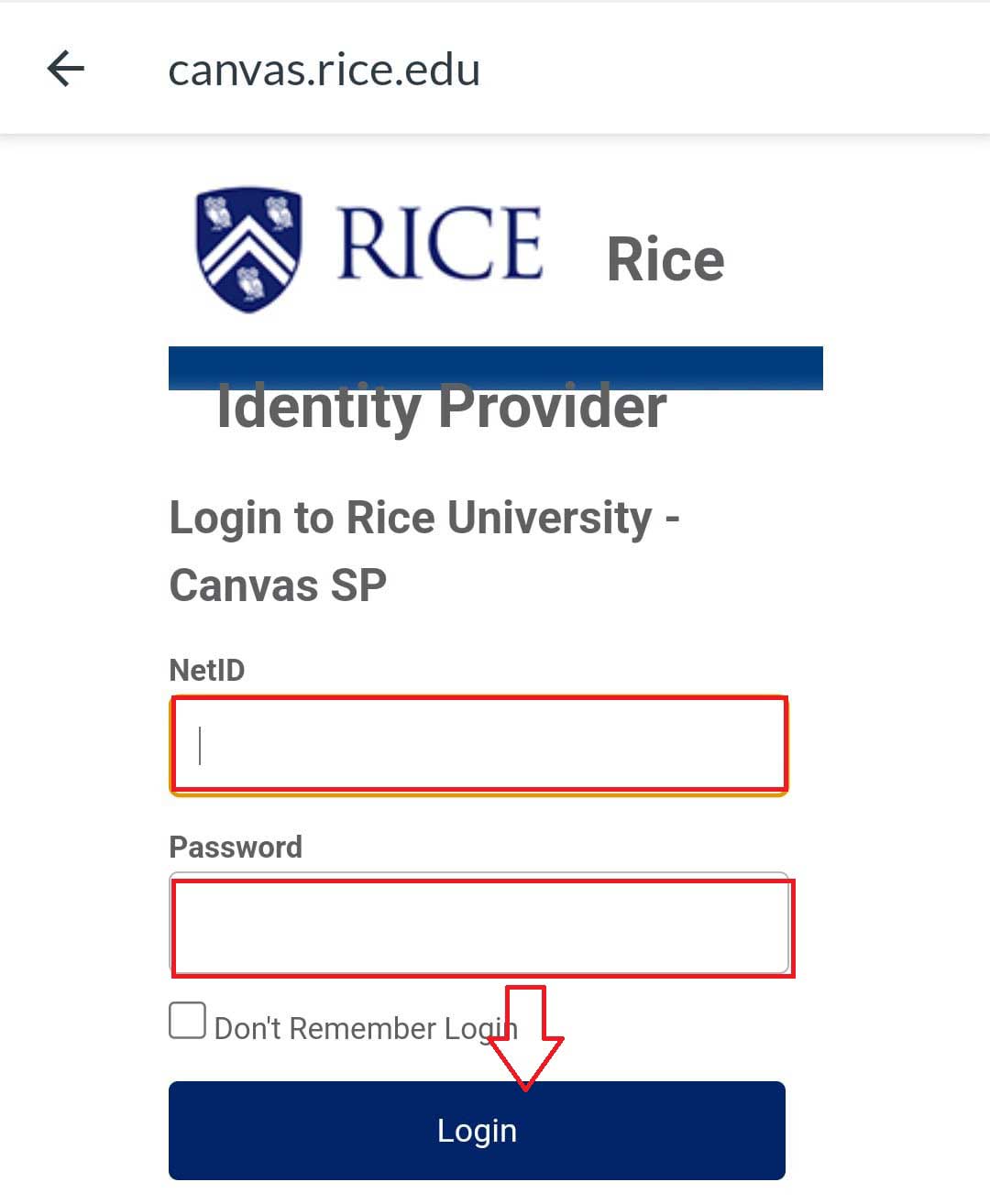 Rice Canvas Guide 2023 | Rice University Learning Environments