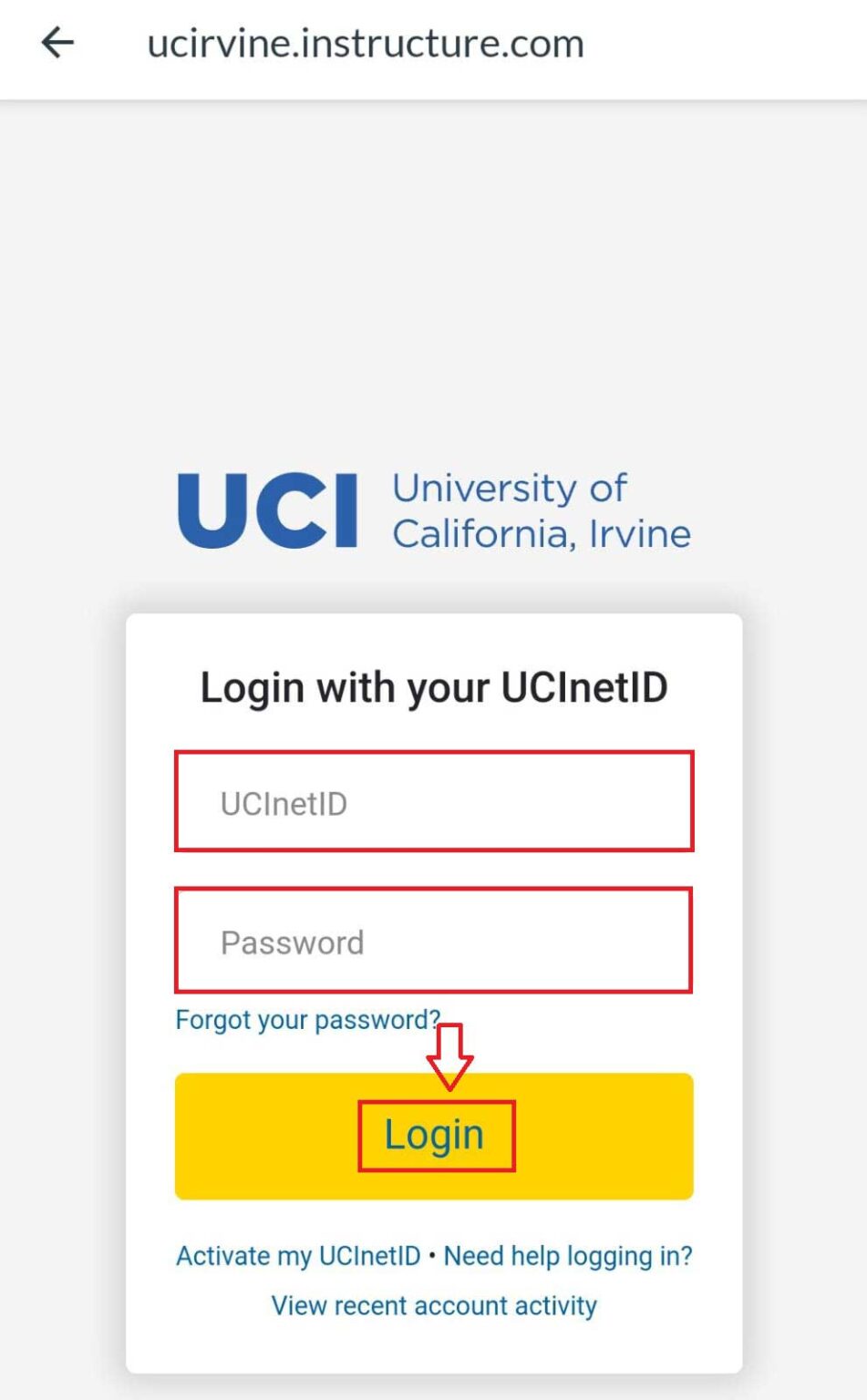 LOG IN CANVAS UC visual data 2